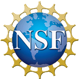 nsf_logo_transp